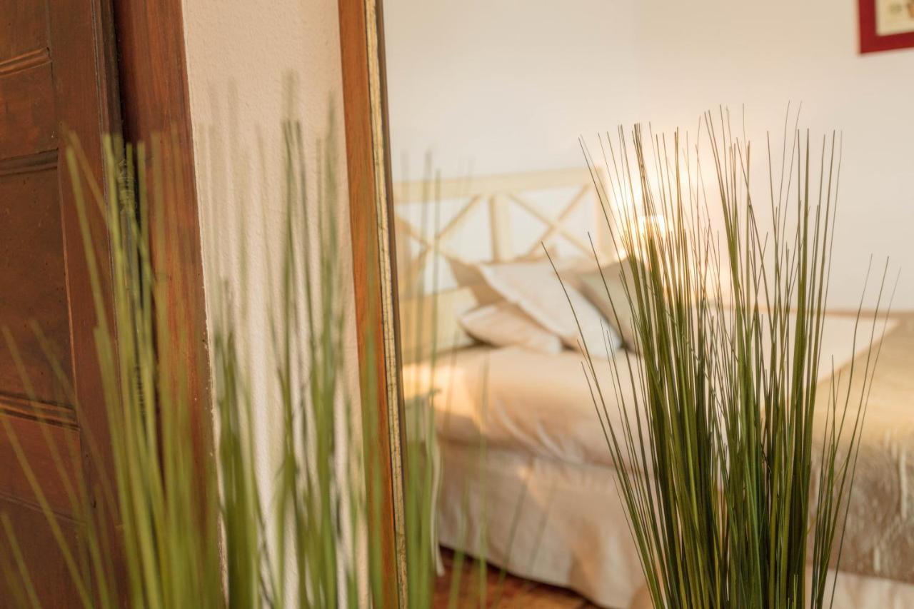 Logis Auberge Cote Jardin Otel Lézignan-Corbières Dış mekan fotoğraf